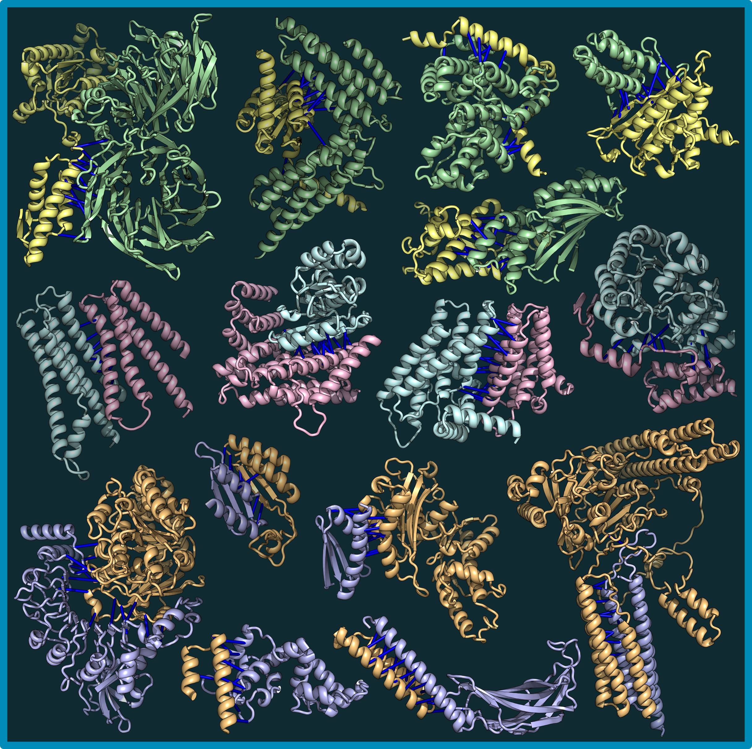 proteins